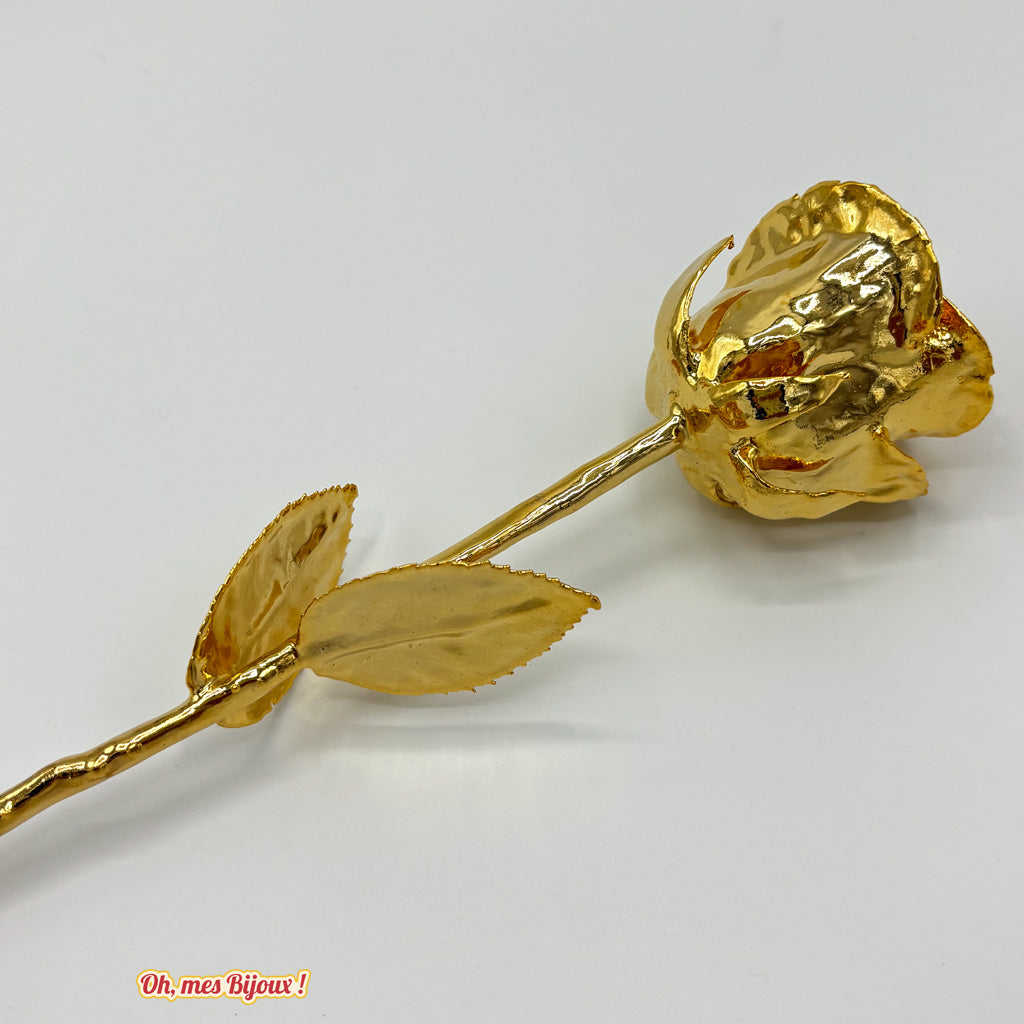 Rose Éternelle Naturelle Plaquée Or 99,9% avec Coffret Cœur Luxe Oh, mes Bijoux !